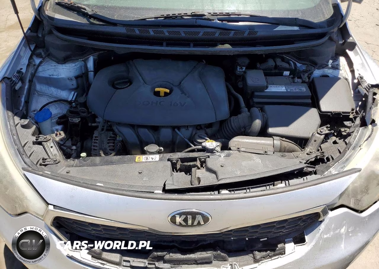 2016 Kia Forte Lx VIN:KNAFK4A6XG5616149 - 11