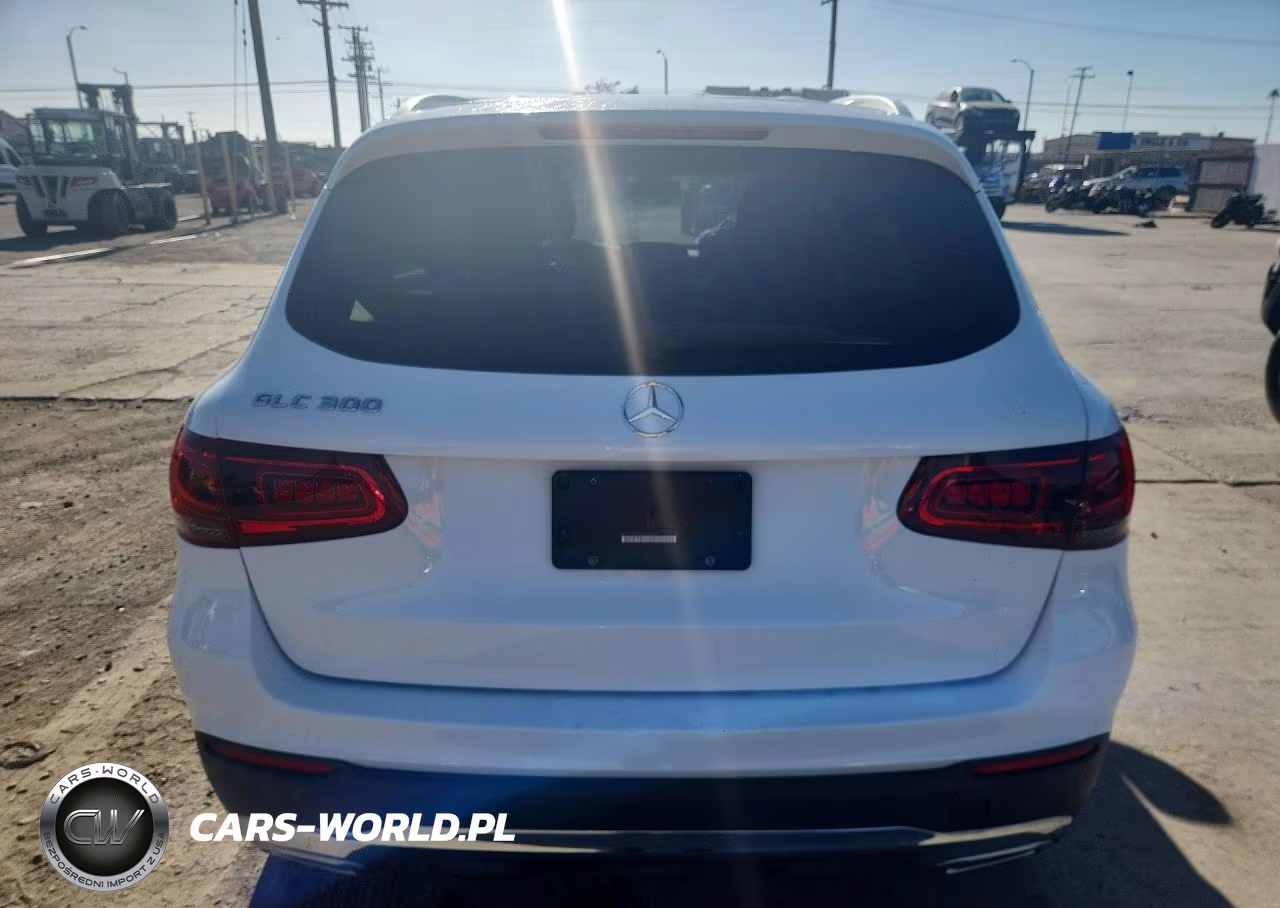 2020 Mercedes-Benz Glc 300 VIN:WDC0G8DB0LF698711 - 6