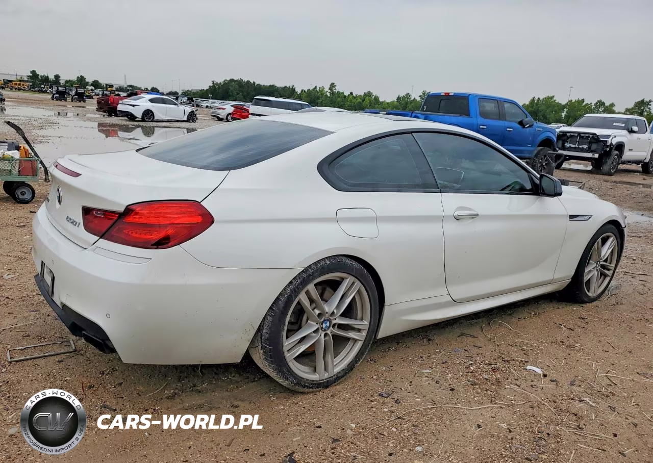 2013 BMW 650 Xi VIN:WBAYM1C55DDZ02398 - 3