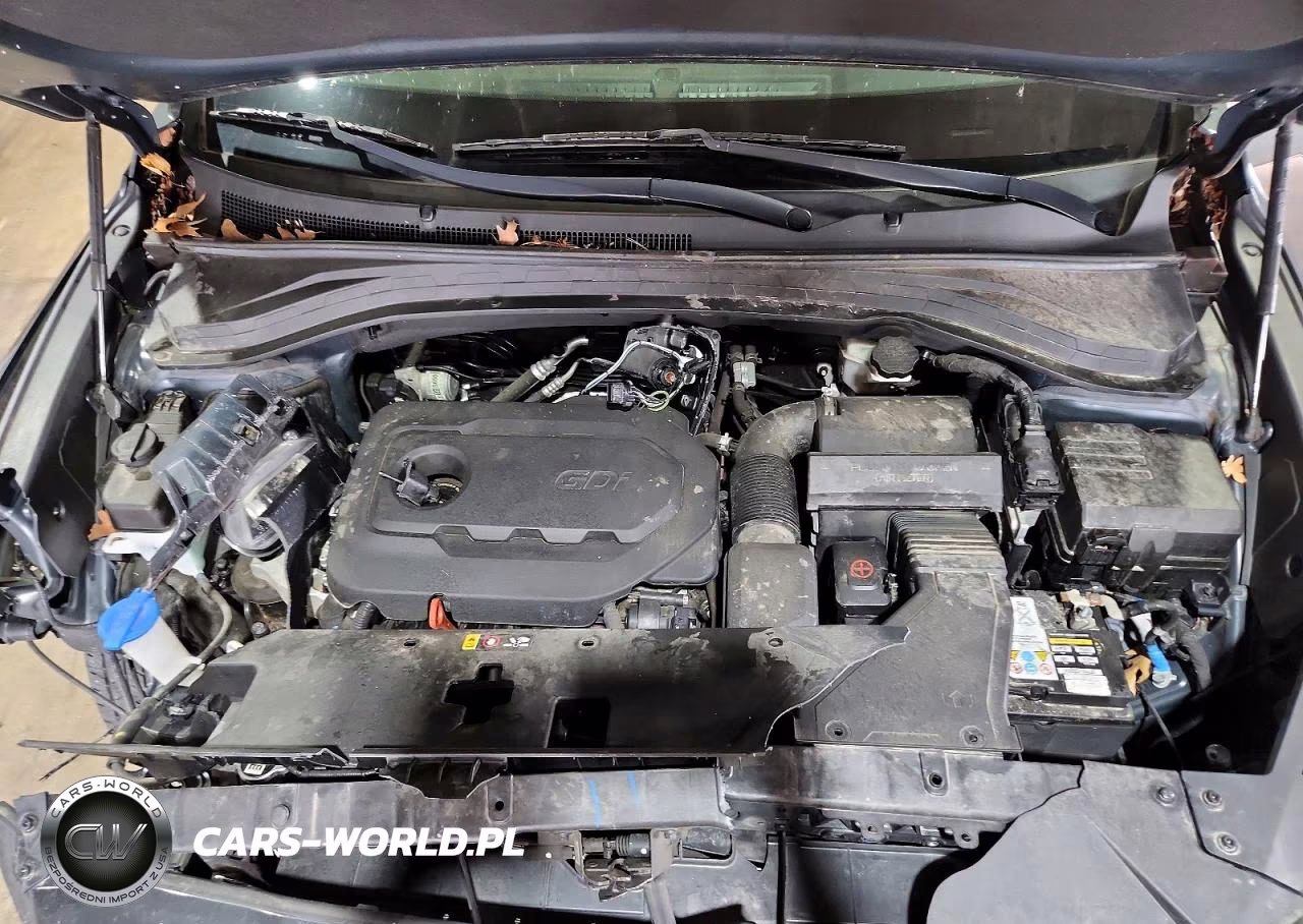 2019 Hyundai Santa Fe Sel 2.4L VIN:5NMS3CADXKH034906 - 11
