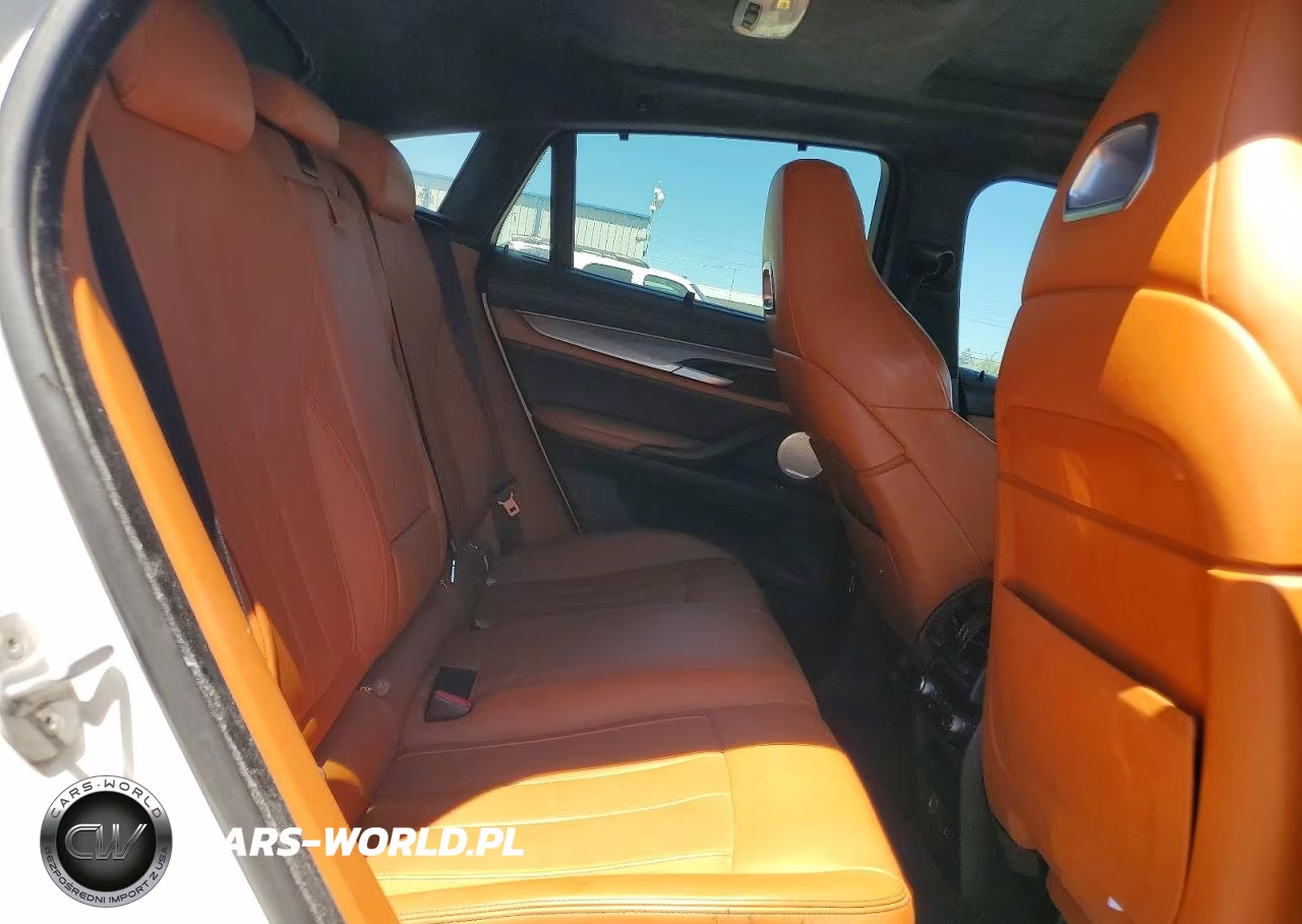 2015 BMW X6 VIN:5YMKW8C55F0G93678 - 10