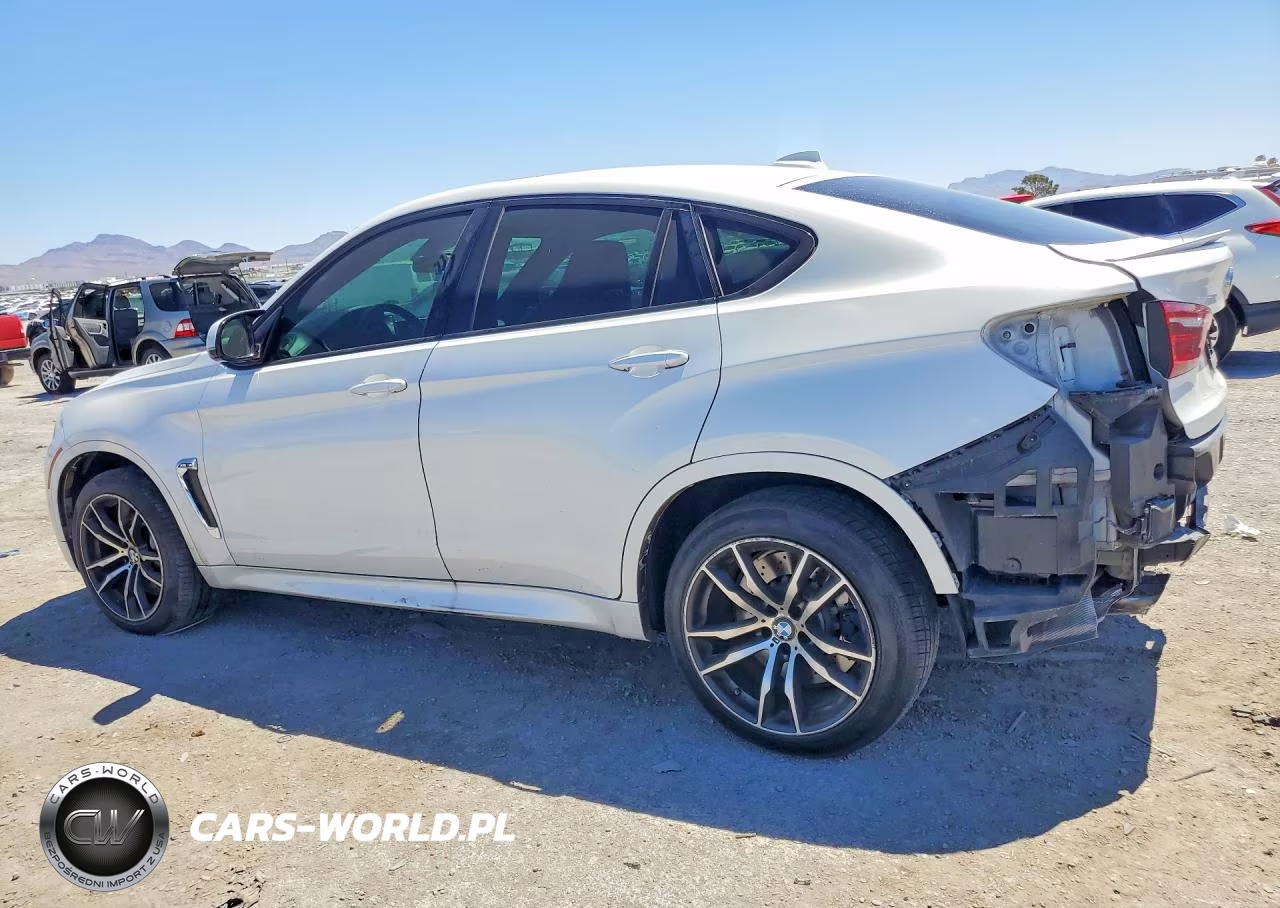 2015 BMW X6 VIN:5YMKW8C55F0G93678 - 2