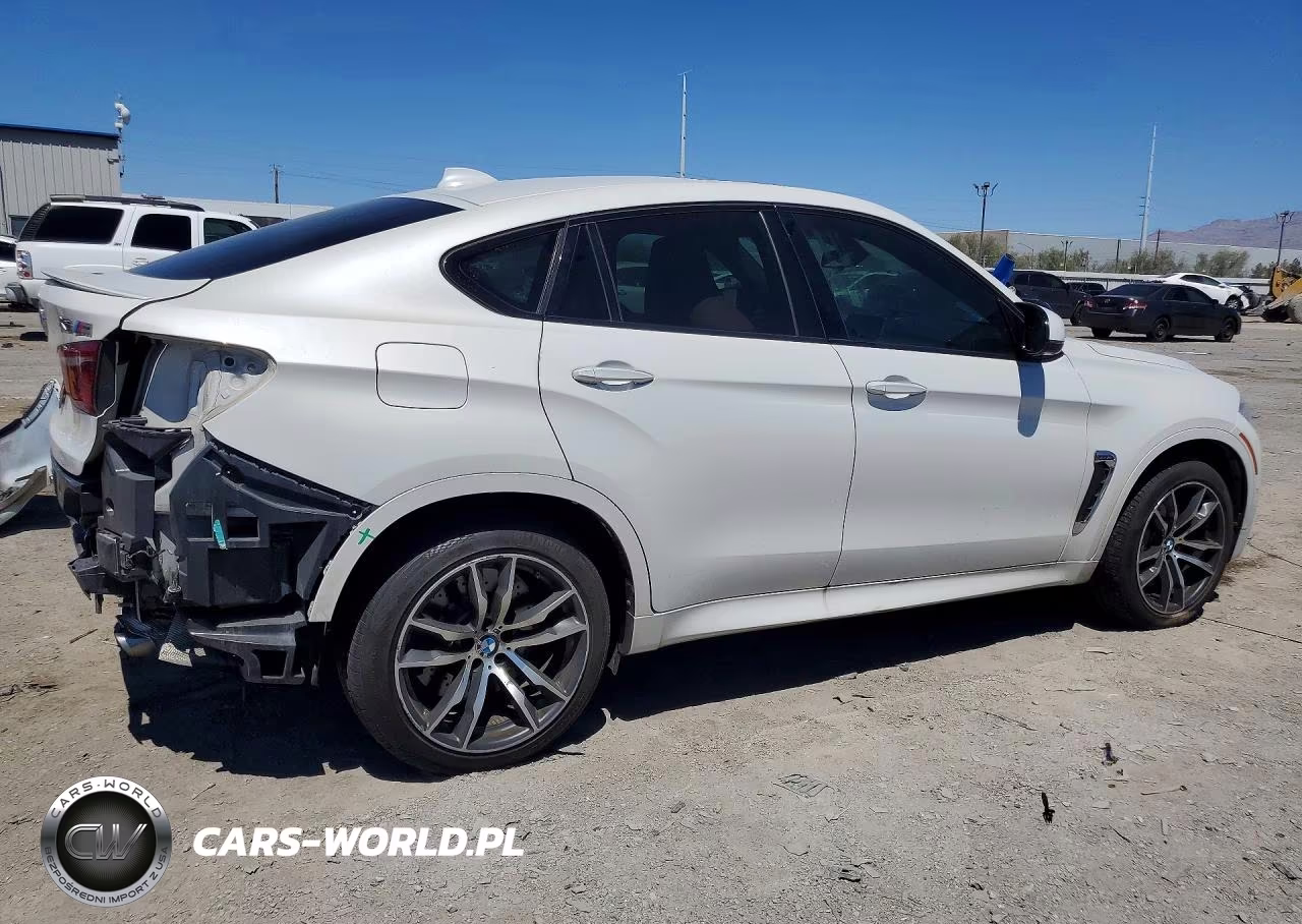 2015 BMW X6 VIN:5YMKW8C55F0G93678 - 3