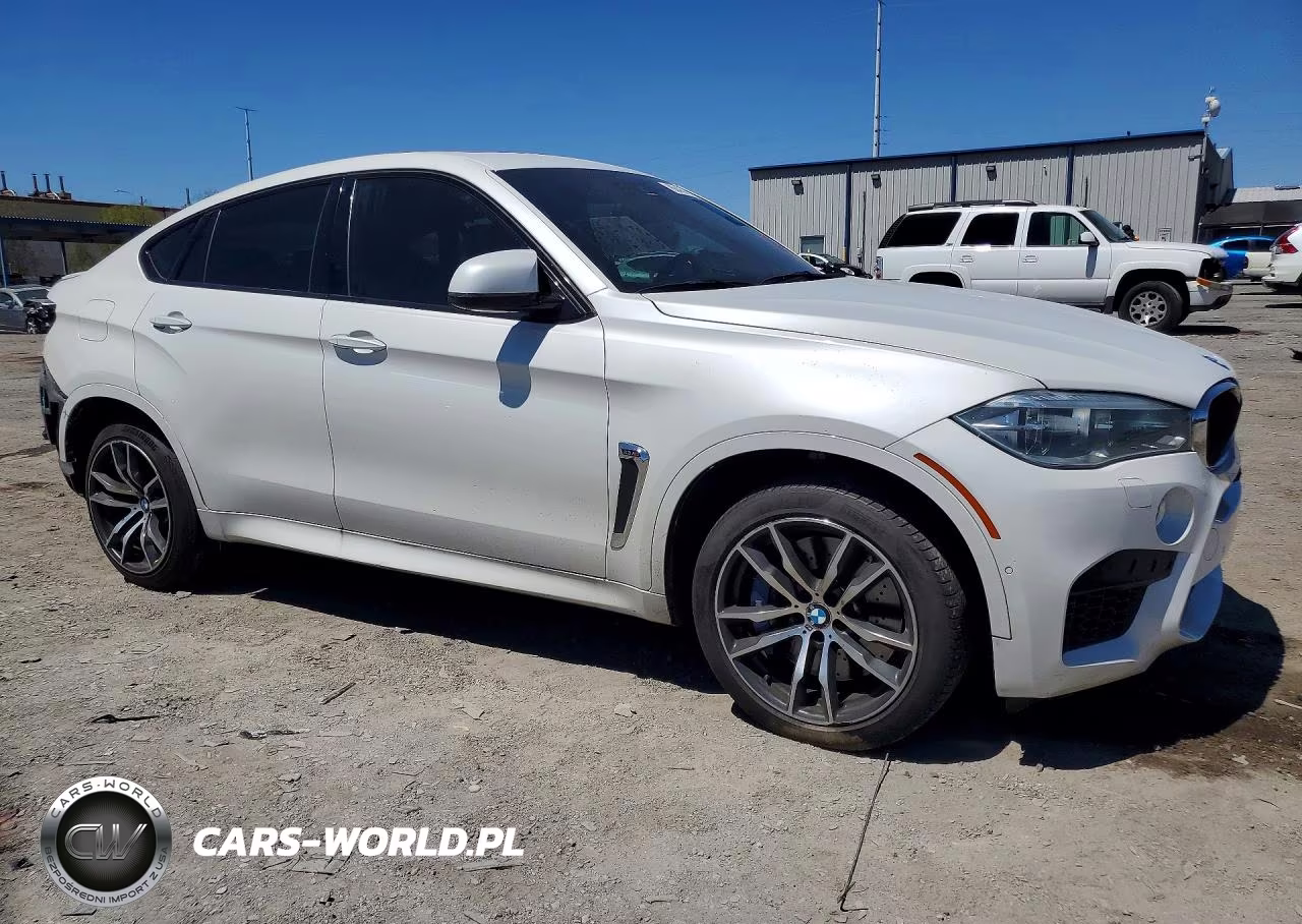 2015 BMW X6 VIN:5YMKW8C55F0G93678 - 4