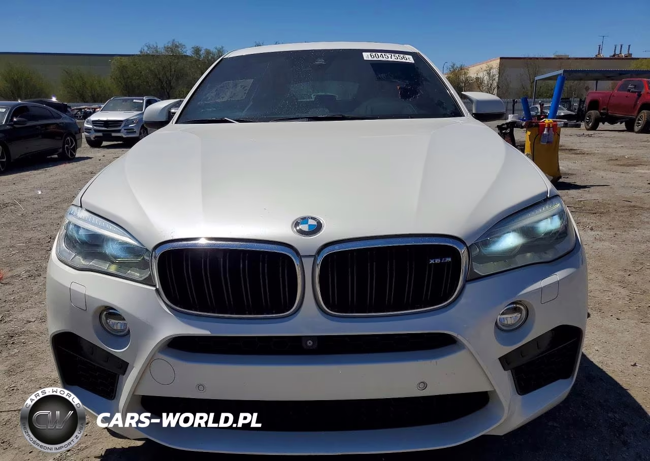 2015 BMW X6 VIN:5YMKW8C55F0G93678 - 5