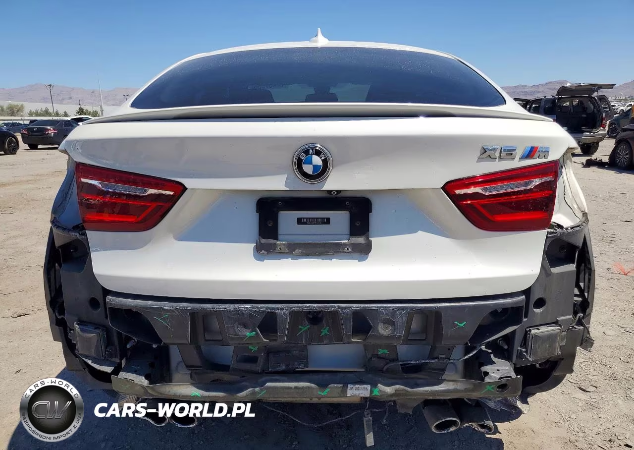 2015 BMW X6 VIN:5YMKW8C55F0G93678 - 6