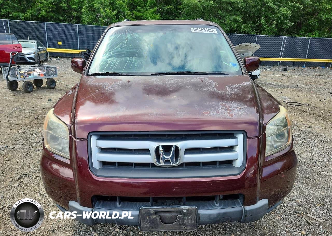 2008 Honda Pilot Se VIN:5FNYF18398B044906 - 5