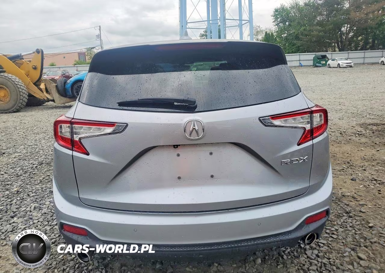 2019 Acura Rdx Advance VIN:5J8TC1H77KL013309 - 6