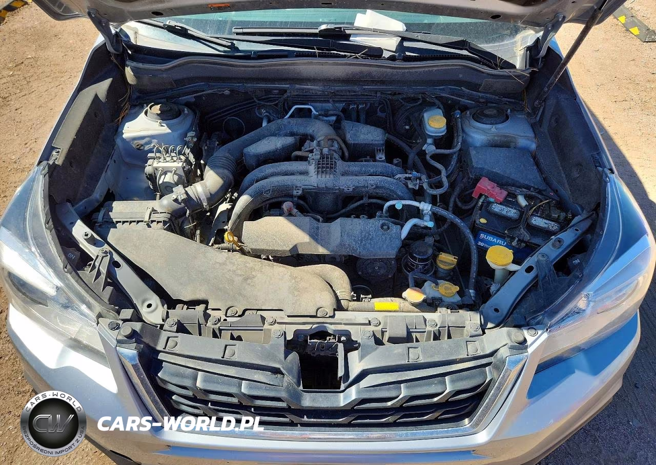 2018 Subaru Forester 2.5I VIN:JF2SJABC6JH584573 - 12