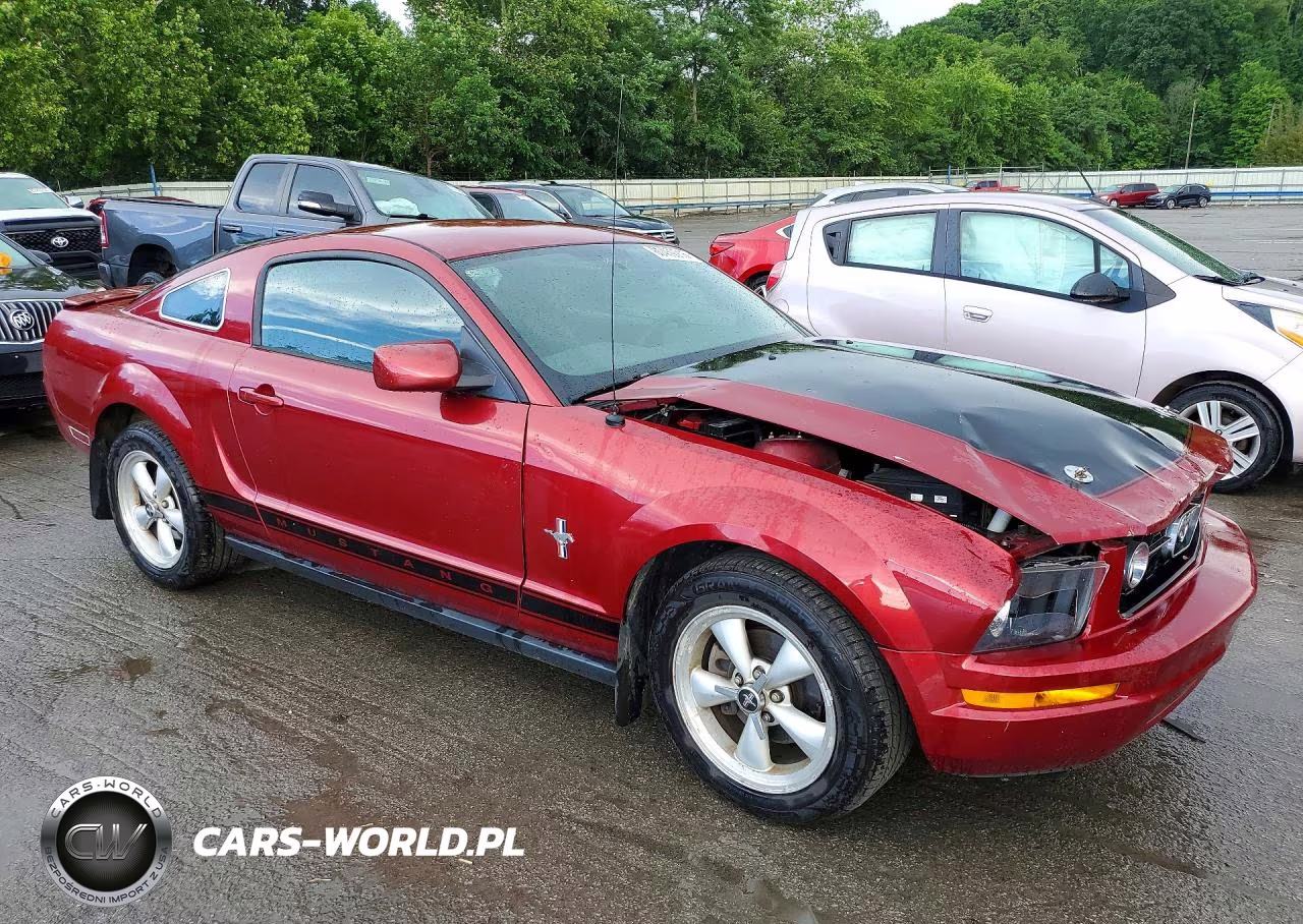 2007 Ford Mustang VIN:1ZVFT80N875249233 - 4