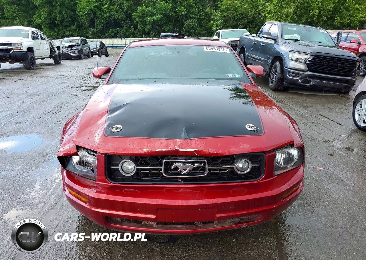 2007 Ford Mustang VIN:1ZVFT80N875249233 - 5