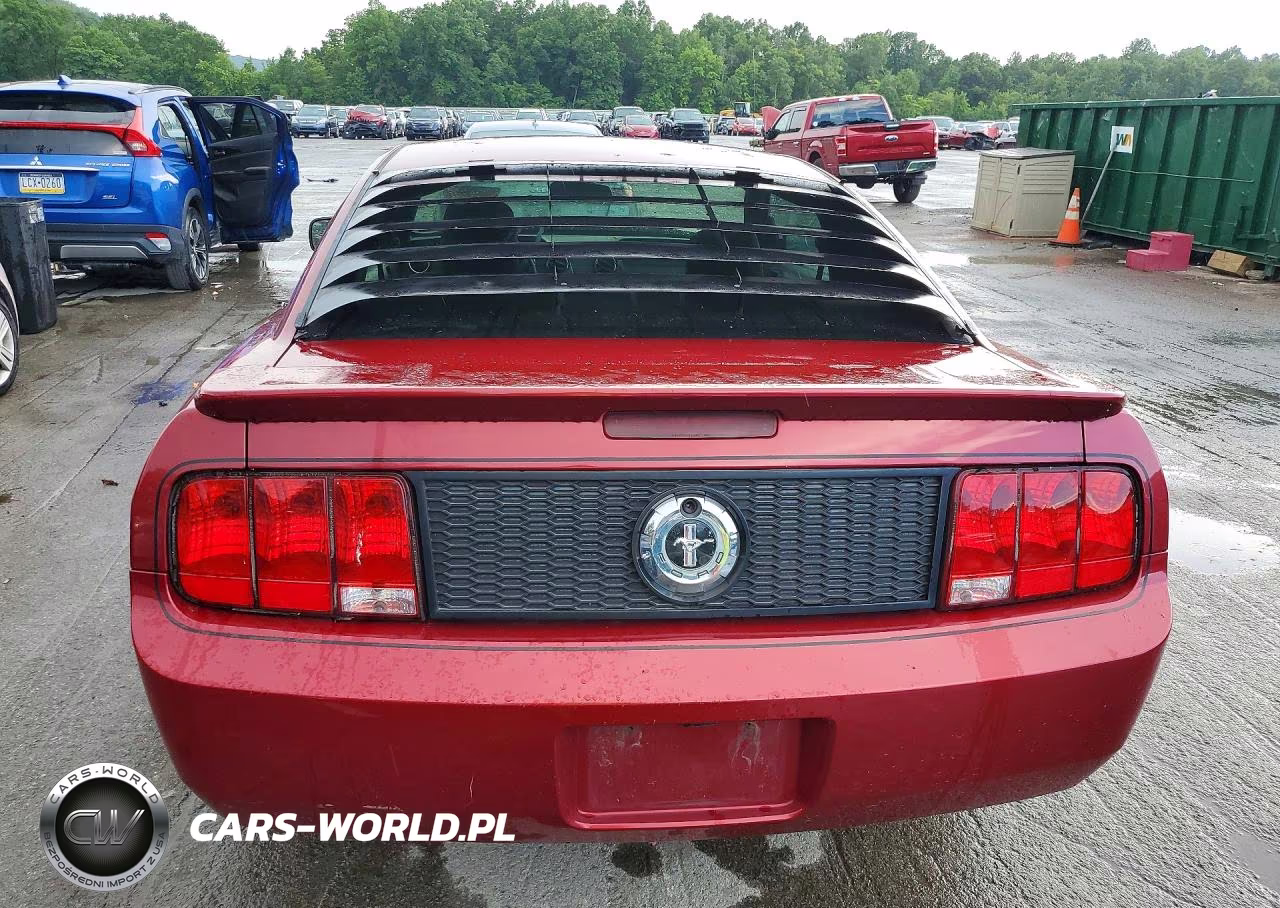 2007 Ford Mustang VIN:1ZVFT80N875249233 - 6