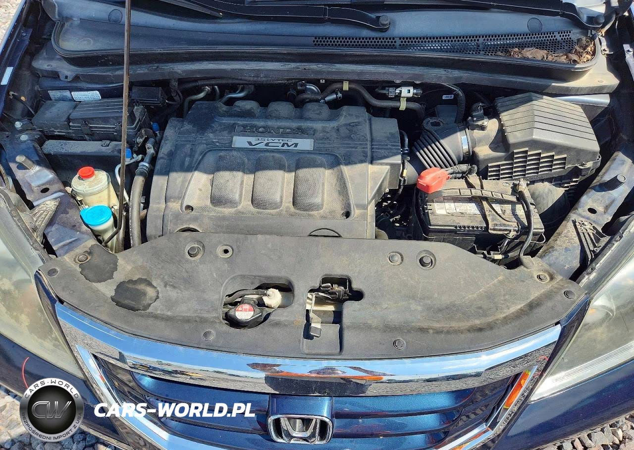 2009 Honda Odyssey Exl VIN:5FNRL38619B040627 - 12