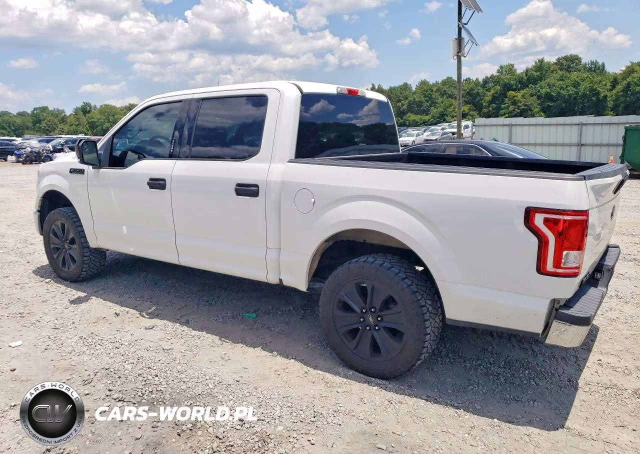 2016 Ford F150 Supercrew VIN:1FTEW1CP2GFB74873 - 2