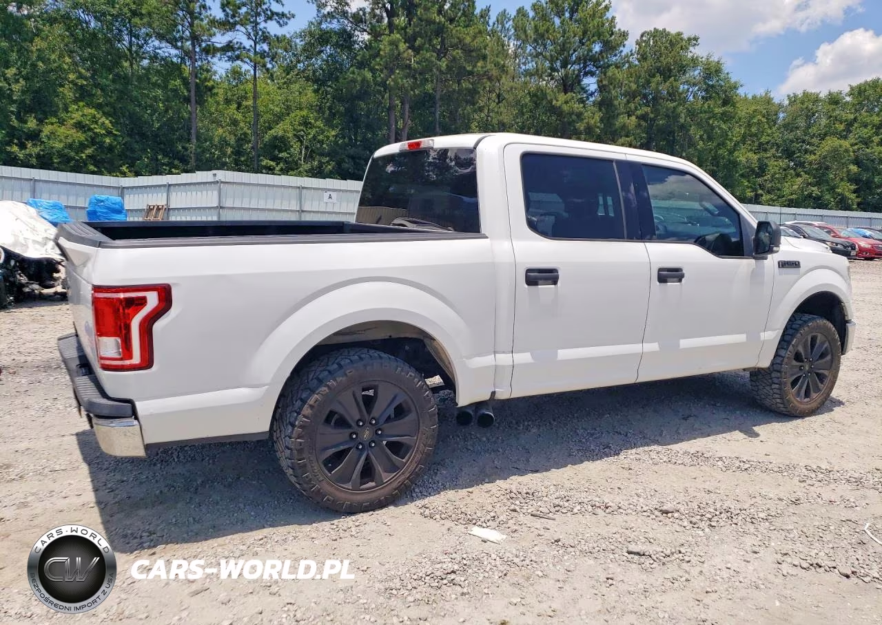 2016 Ford F150 Supercrew VIN:1FTEW1CP2GFB74873 - 3