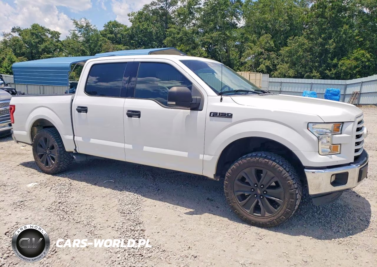 2016 Ford F150 Supercrew VIN:1FTEW1CP2GFB74873 - 4