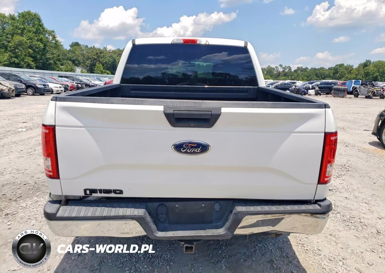 2016 Ford F150 Supercrew VIN:1FTEW1CP2GFB74873 - 6