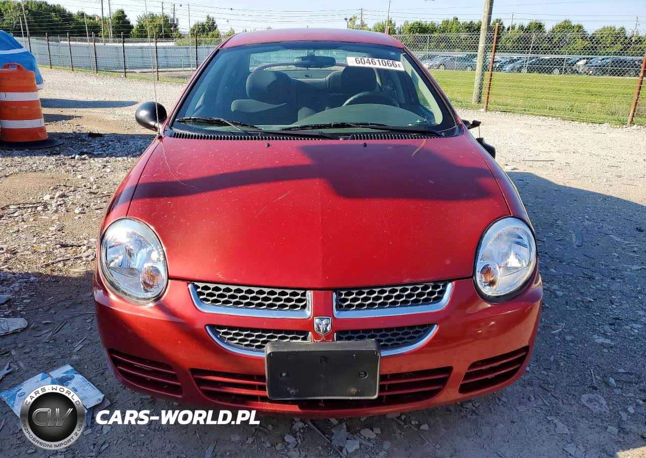 2003 Dodge Neon Sxt VIN:1B3ES56C83D107018 - 5