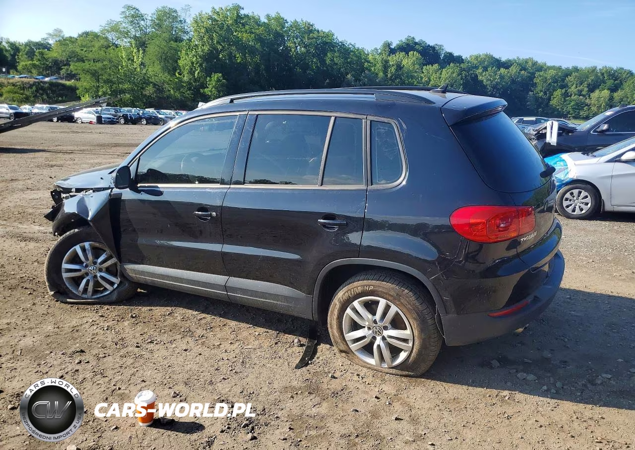 2017 Volkswagen Tiguan S VIN:WVGBV7AX2HK029199 - 2