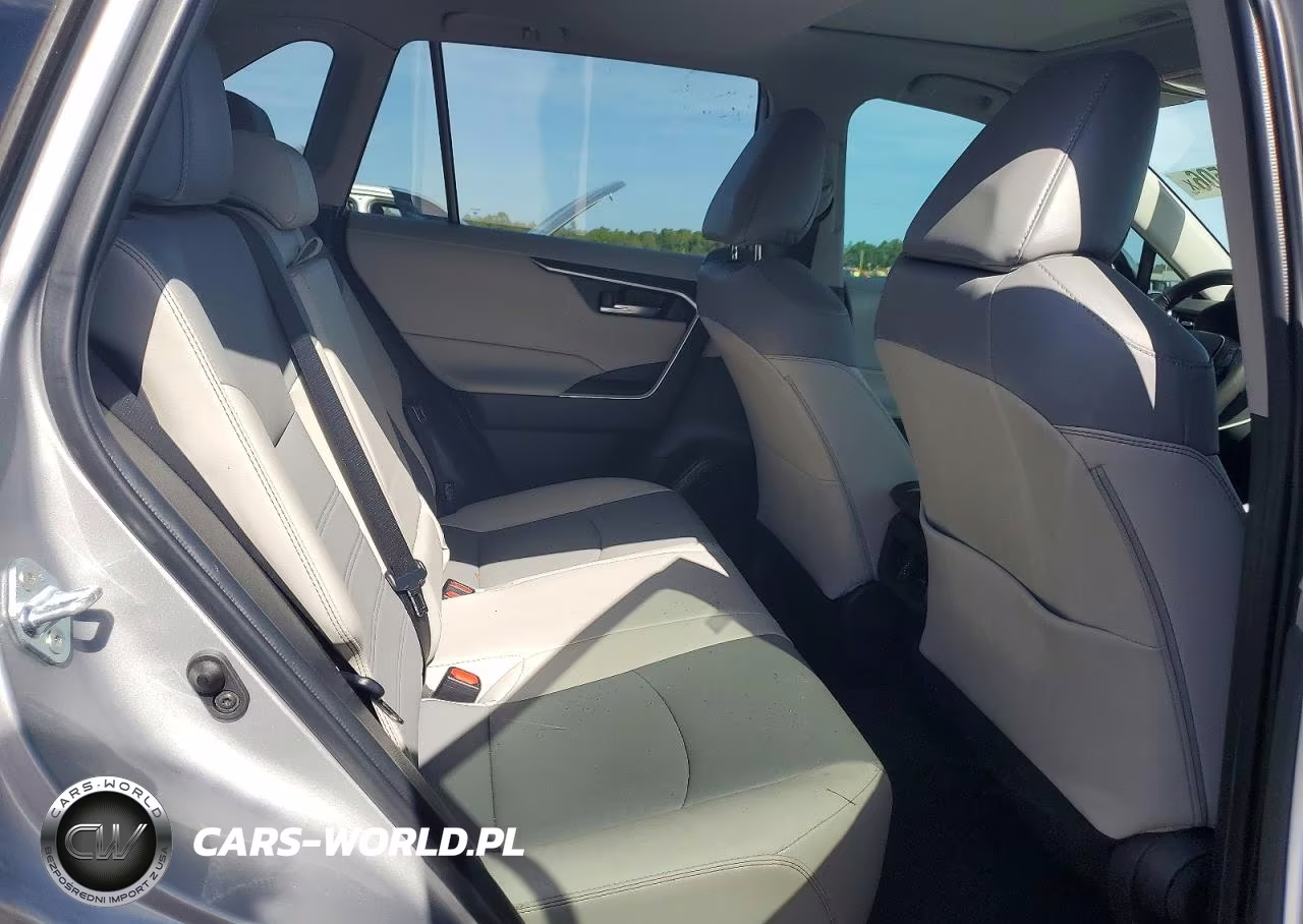 2023 Toyota Rav4 Xle Premium VIN:2T3C1RFV4PW252096 - 10