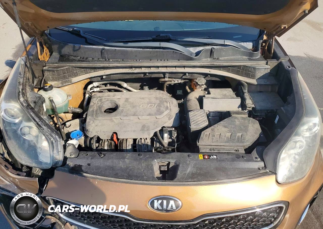 2018 Kia Sportage Lx VIN:KNDPMCAC7J7307882 - 12