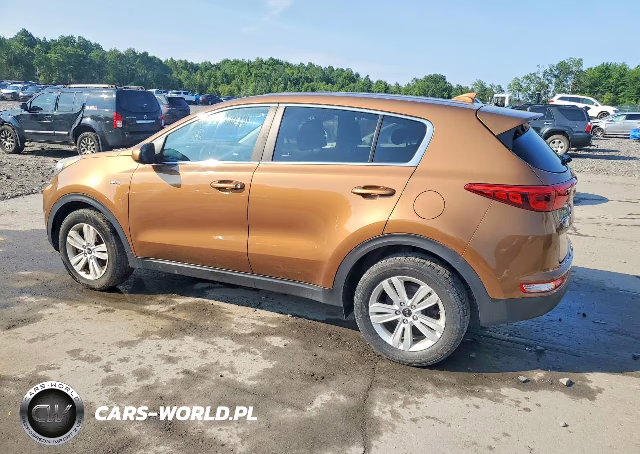 2018 Kia Sportage Lx VIN:KNDPMCAC7J7307882 - 2