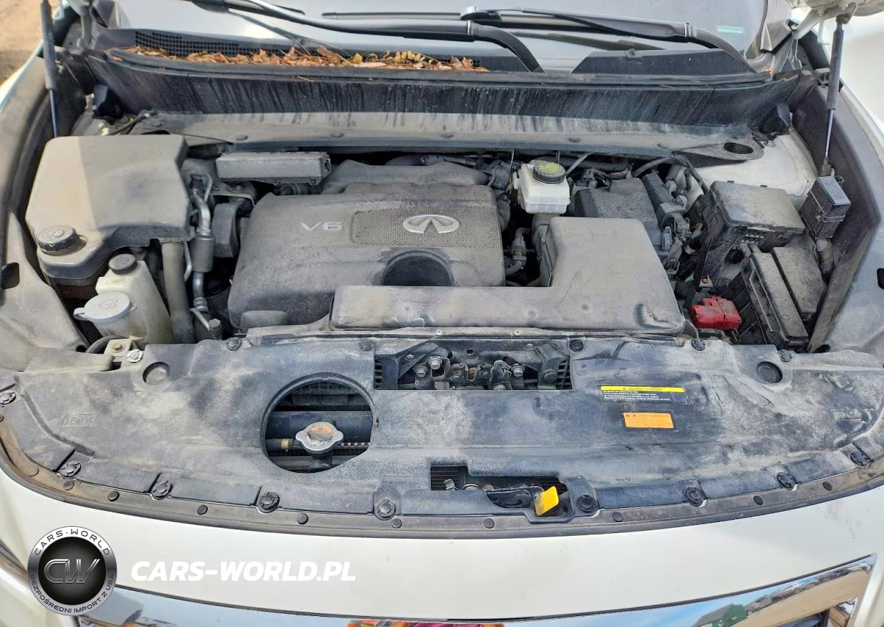 2020 Infiniti Qx60 Pure VIN:5N1DL0MM0LC509722 - 11