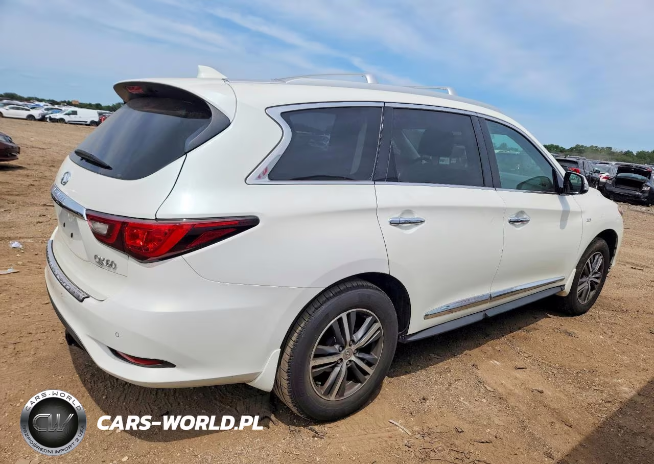 2020 Infiniti Qx60 Pure VIN:5N1DL0MM0LC509722 - 3