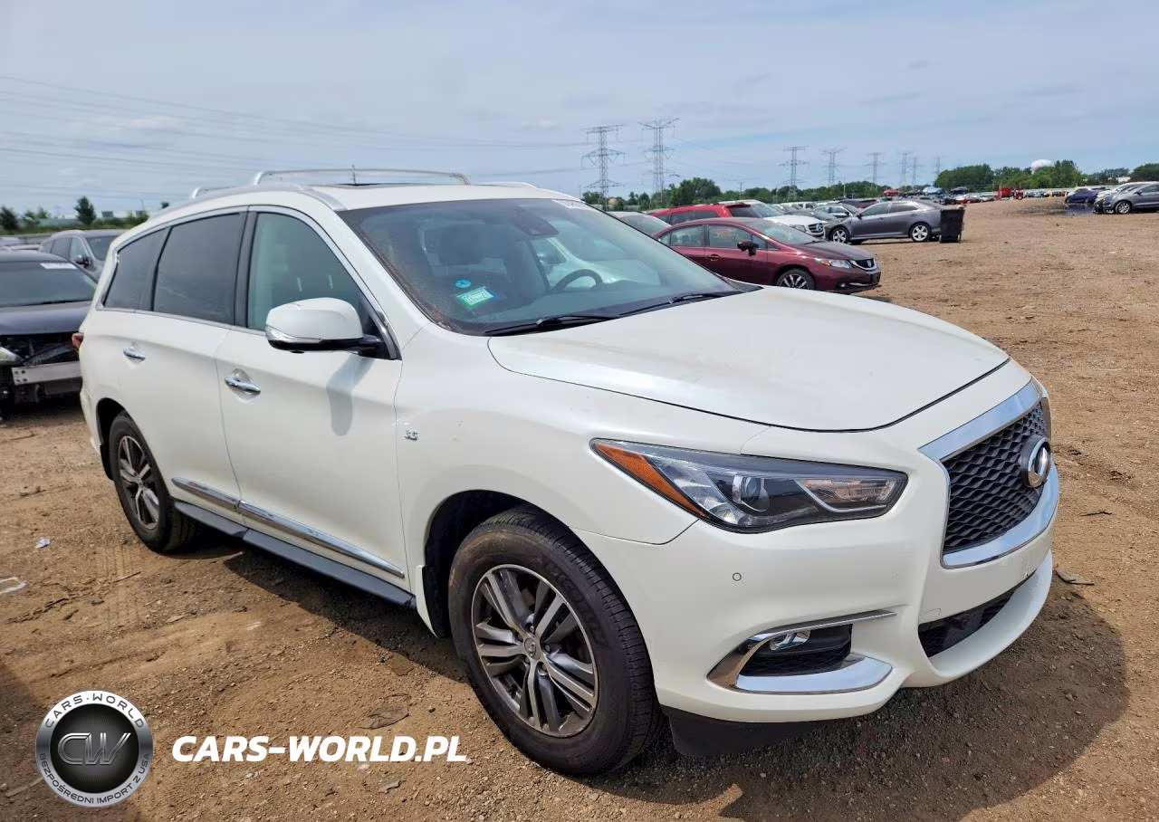 2020 Infiniti Qx60 Pure VIN:5N1DL0MM0LC509722 - 4
