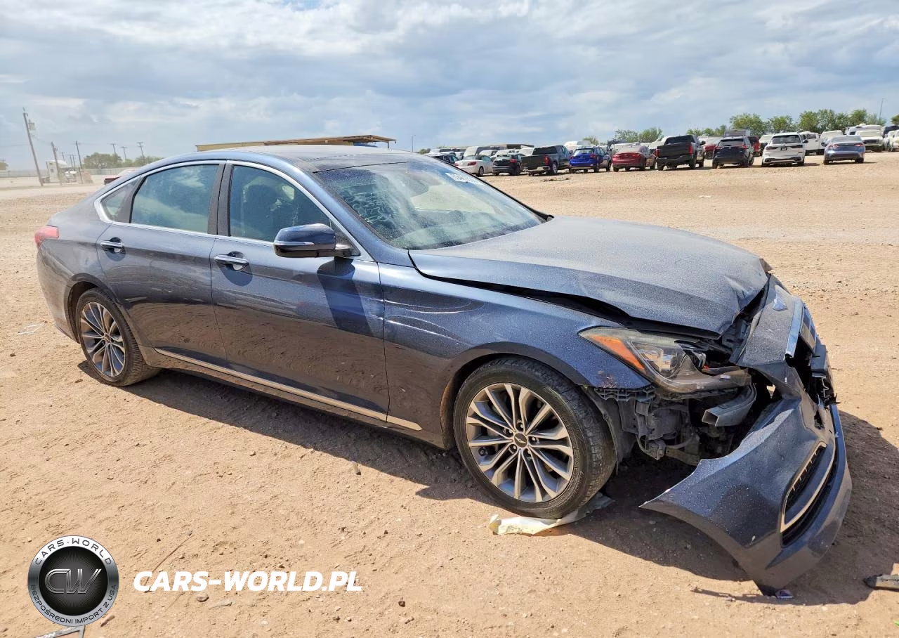 2015 Hyundai Genesis 3.8L VIN:KMHGN4JE0FU063355 - 4
