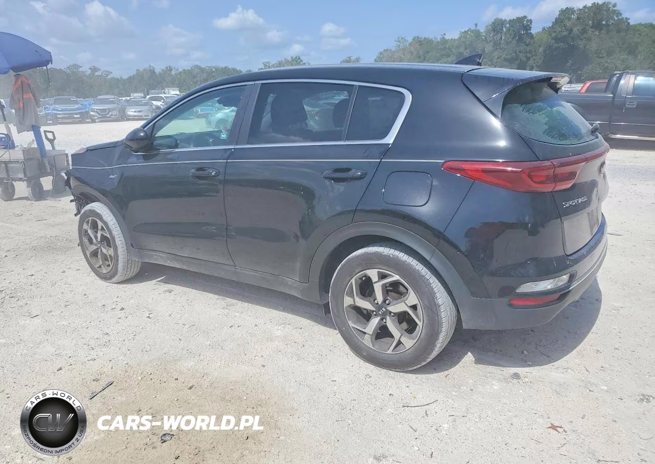 2022 Kia Sportage Lx VIN:KNDPMCAC9N7973728 - 2