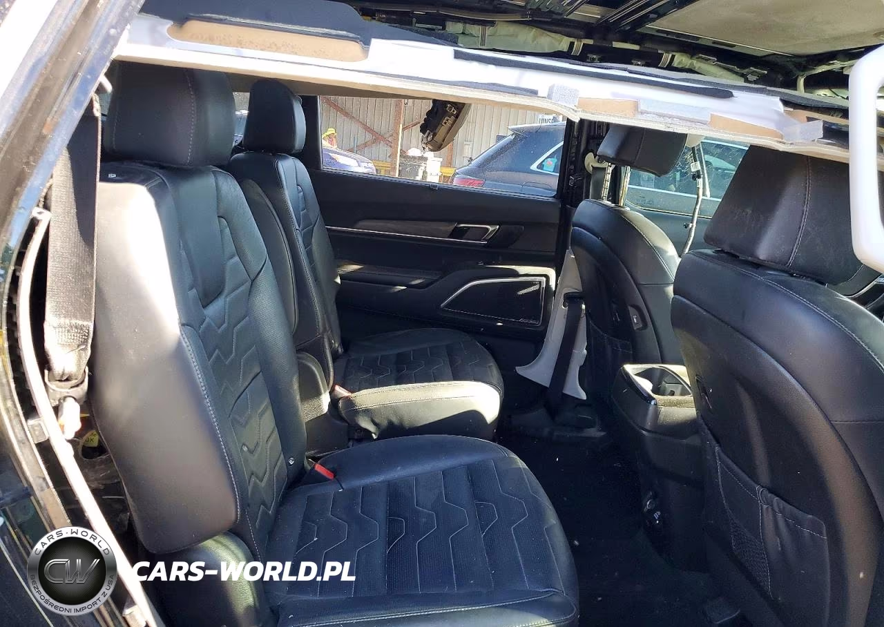 2022 Kia Telluride Sx VIN:5XYP5DHC9NG227680 - 10