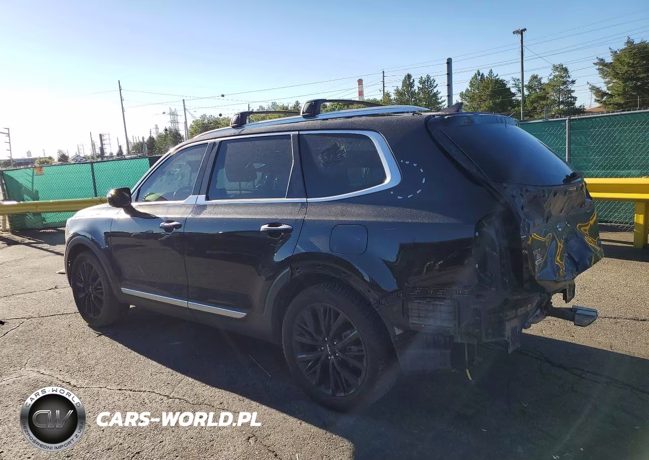 2022 Kia Telluride Sx VIN:5XYP5DHC9NG227680 - 2