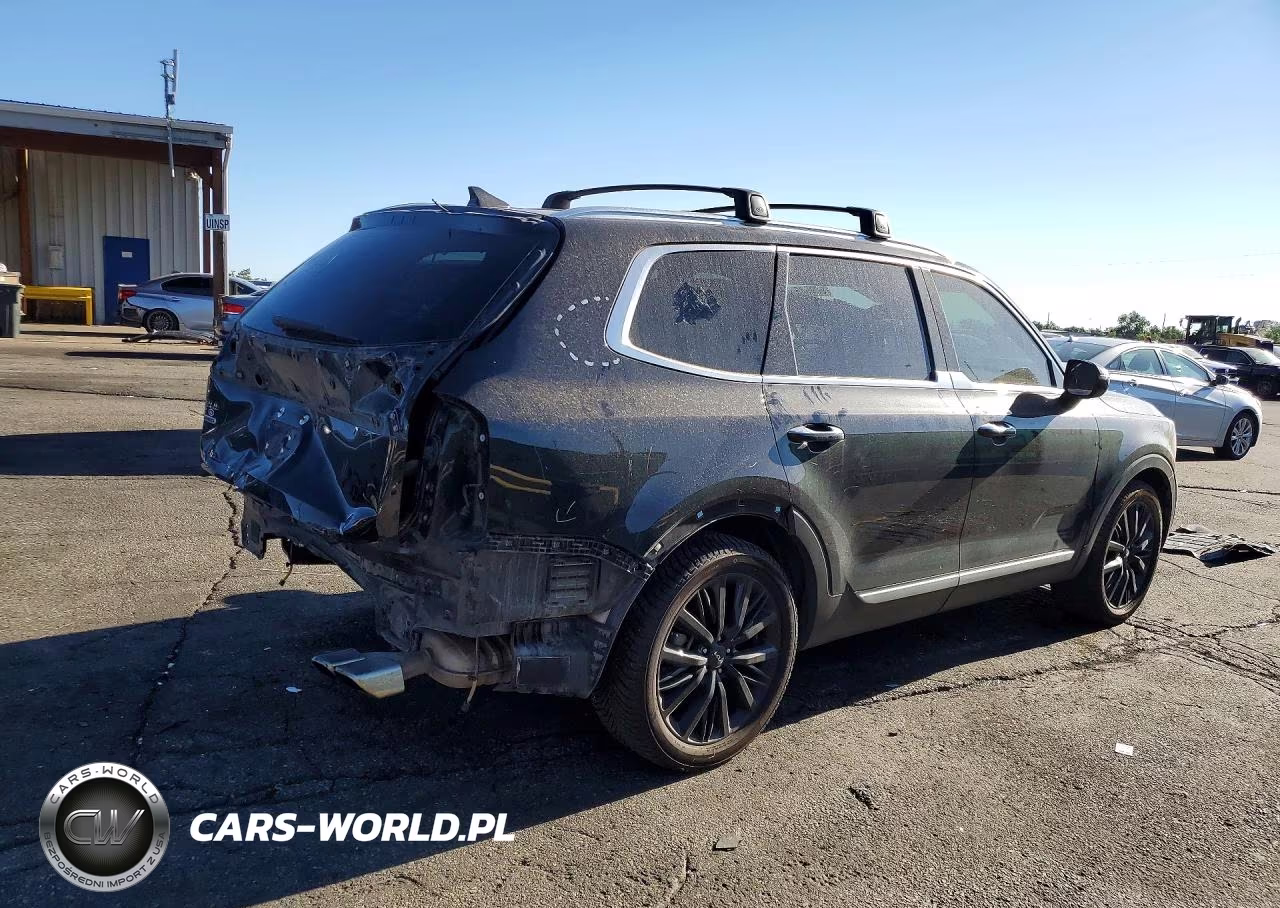 2022 Kia Telluride Sx VIN:5XYP5DHC9NG227680 - 3