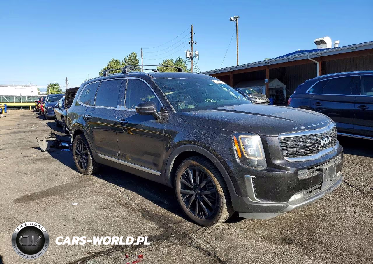 2022 Kia Telluride Sx VIN:5XYP5DHC9NG227680 - 4