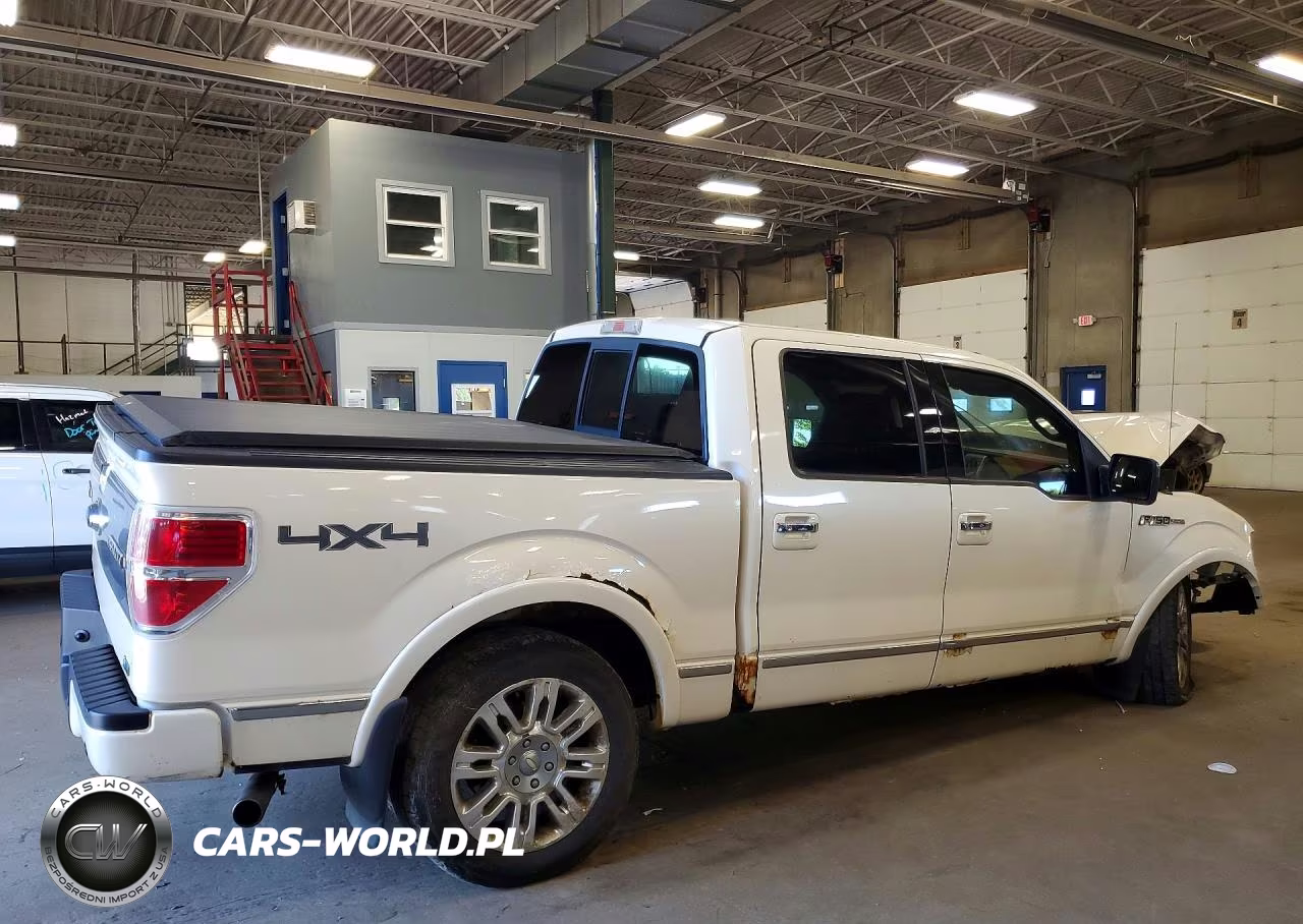 2009 Ford F150 Supercrew VIN:1FTPW14VX9FA55221 - 3