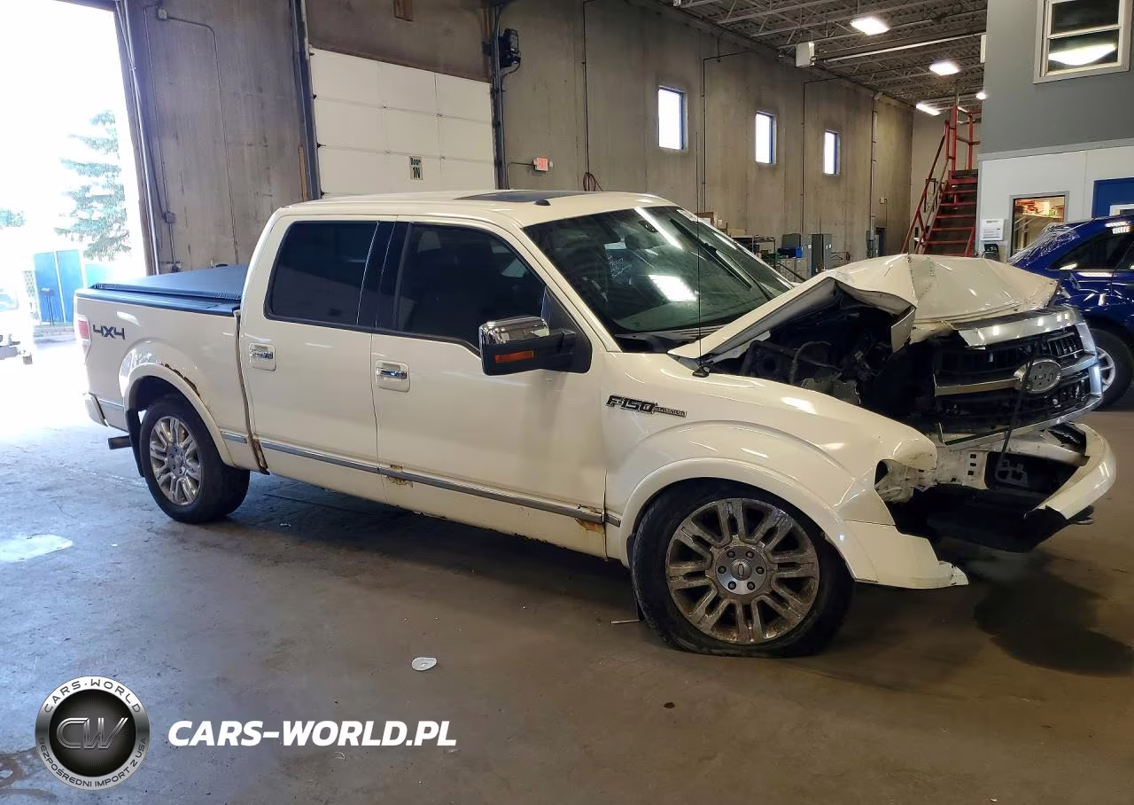 2009 Ford F150 Supercrew VIN:1FTPW14VX9FA55221 - 4