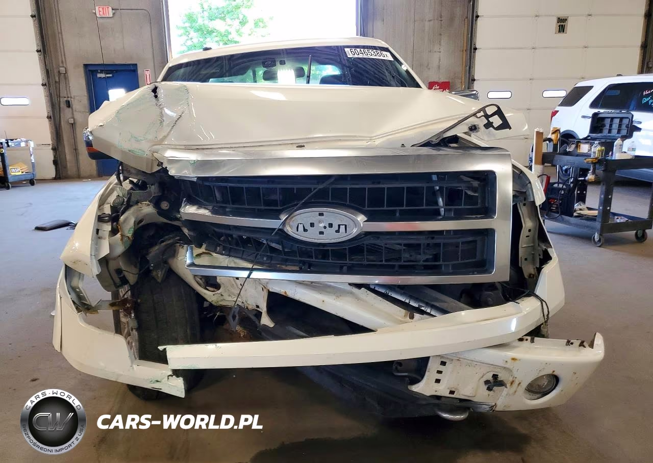 2009 Ford F150 Supercrew VIN:1FTPW14VX9FA55221 - 5