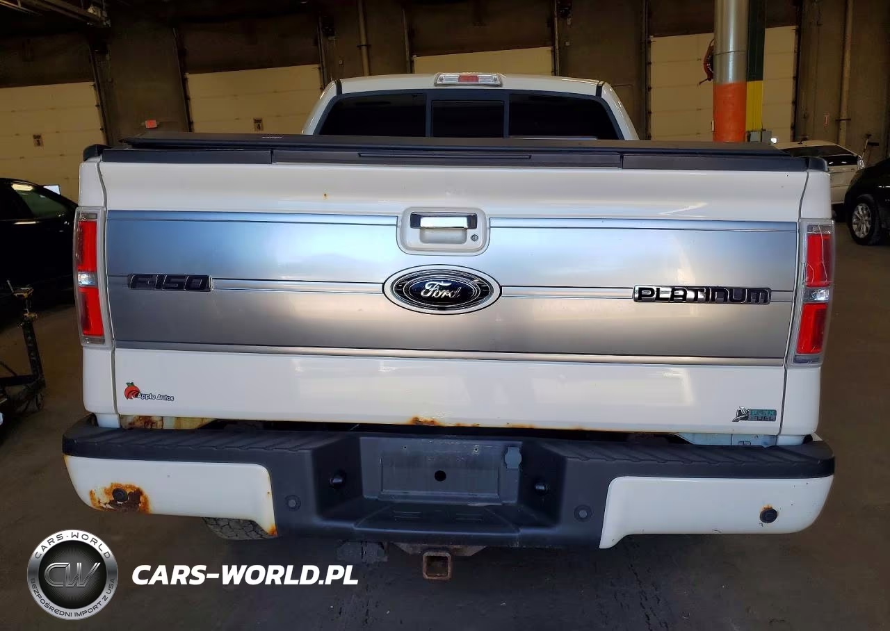 2009 Ford F150 Supercrew VIN:1FTPW14VX9FA55221 - 6