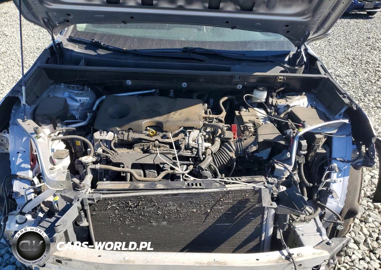 2019 Toyota Rav4 VIN:JTMK1RFV0KD516304 - 12