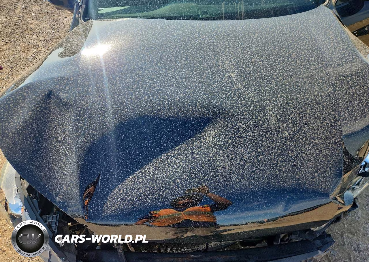2013 Honda Accord Exl VIN:1HGCR2F81DA260209 - 11