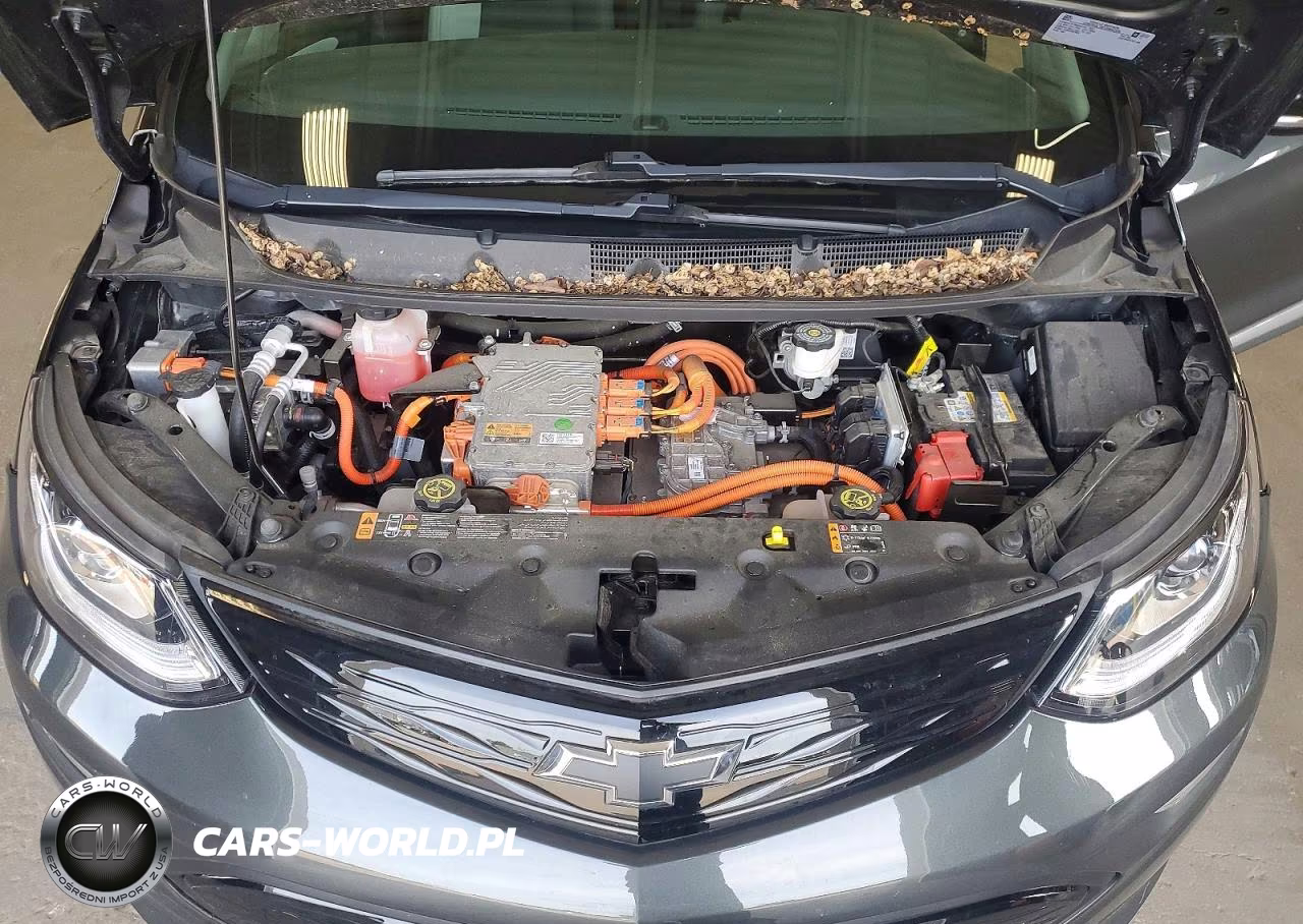 2020 Chevrolet Bolt Ev Lt VIN:1G1FY6S03L4125969 - 11