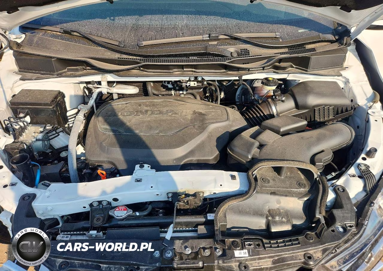 2024 Honda Odyssey Elite VIN:5FNRL6H90RB059911 - 12