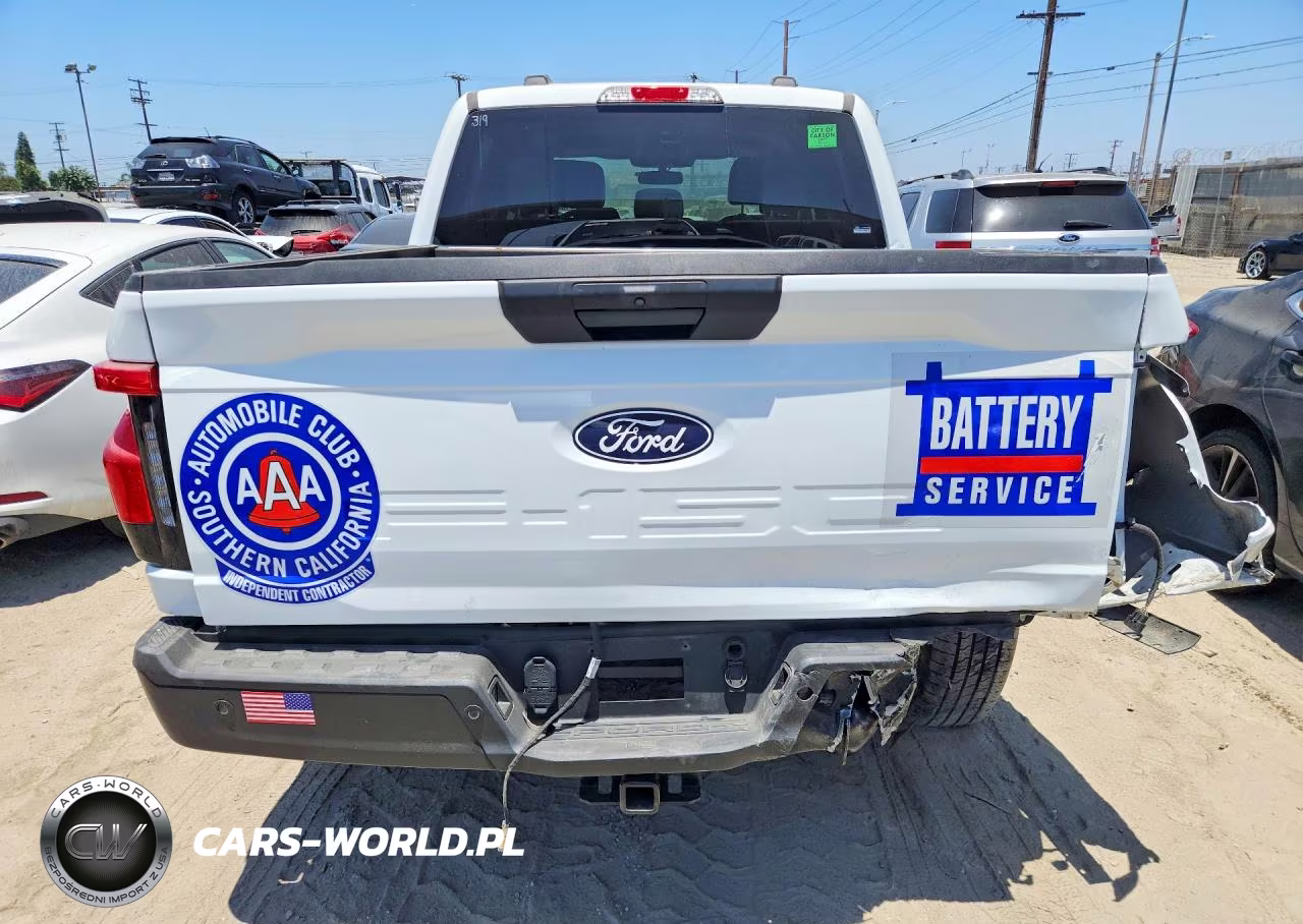 2025 Ford F150 Lightning Pro VIN:1FT6W1BM9SWG16603 - 6