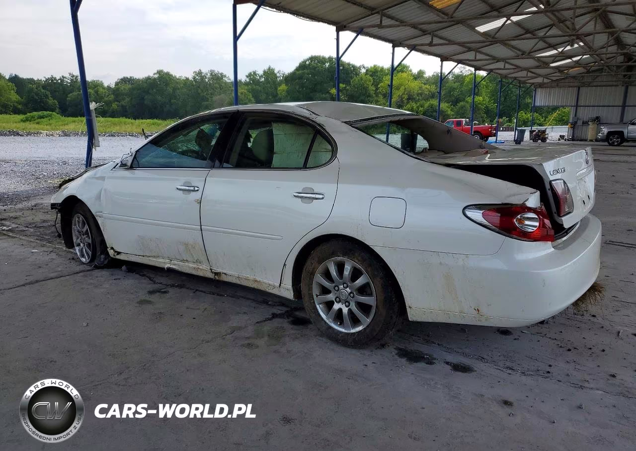 2004 Lexus Es 330 VIN:JTHBA30G045023709 - 2