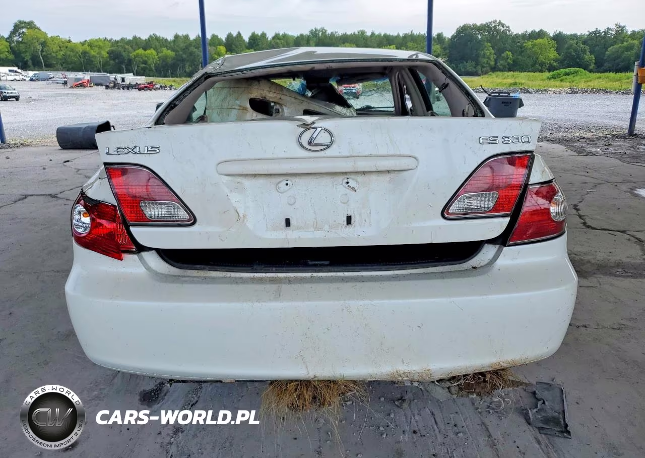2004 Lexus Es 330 VIN:JTHBA30G045023709 - 6