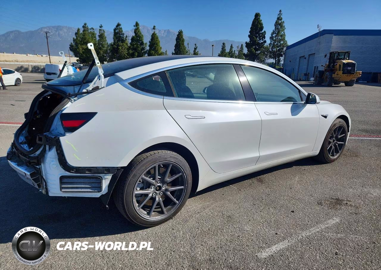 2020 Tesla Model 3 VIN:5YJ3E1EB5LF619732 - 3