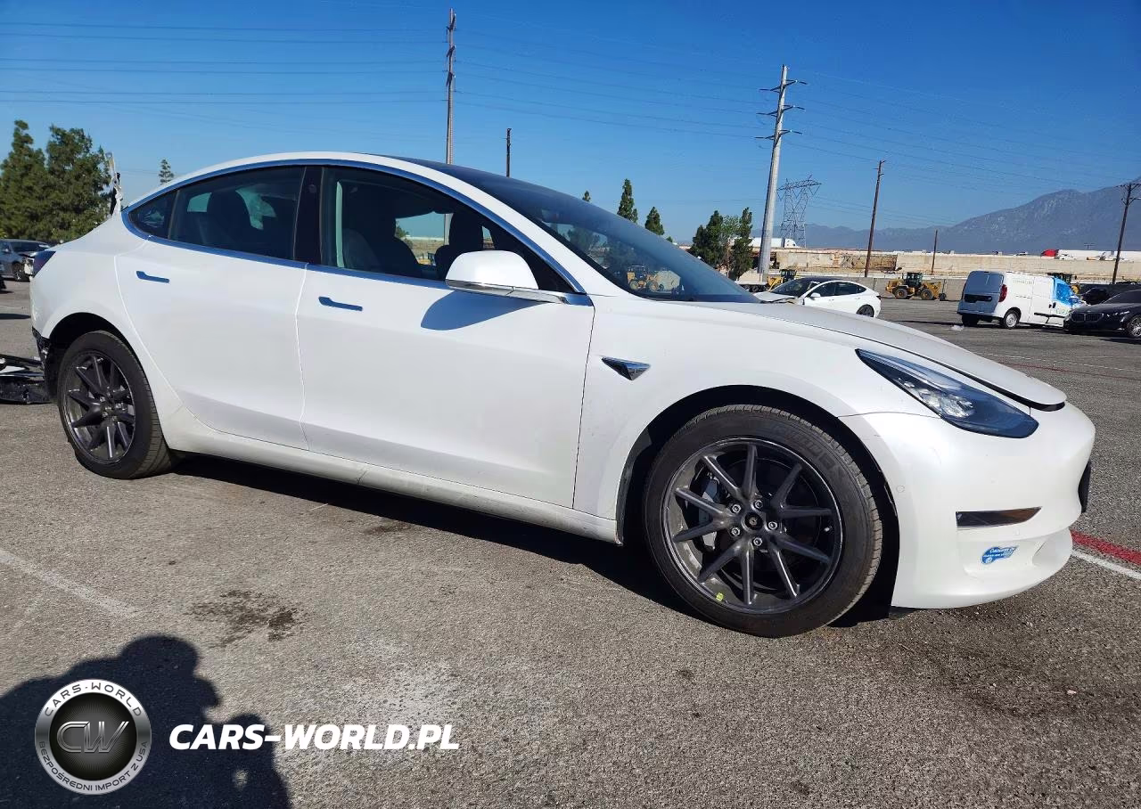 2020 Tesla Model 3 VIN:5YJ3E1EB5LF619732 - 4
