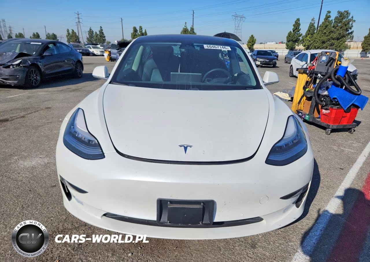 2020 Tesla Model 3 VIN:5YJ3E1EB5LF619732 - 5