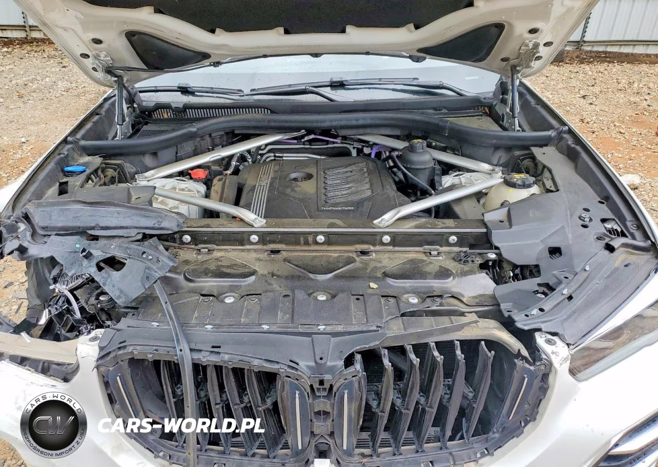 2021 BMW X5 Sdrive 40I VIN:5UXCR4C01M9D80927 - 12